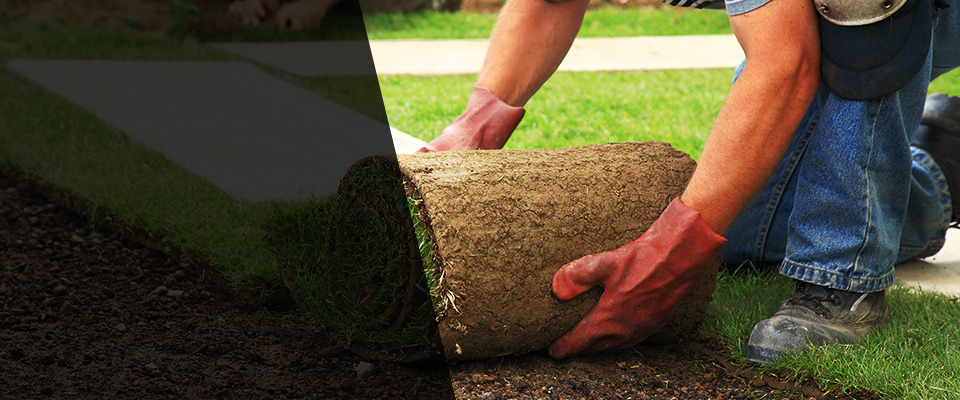 Whitehouse Station Landscapers